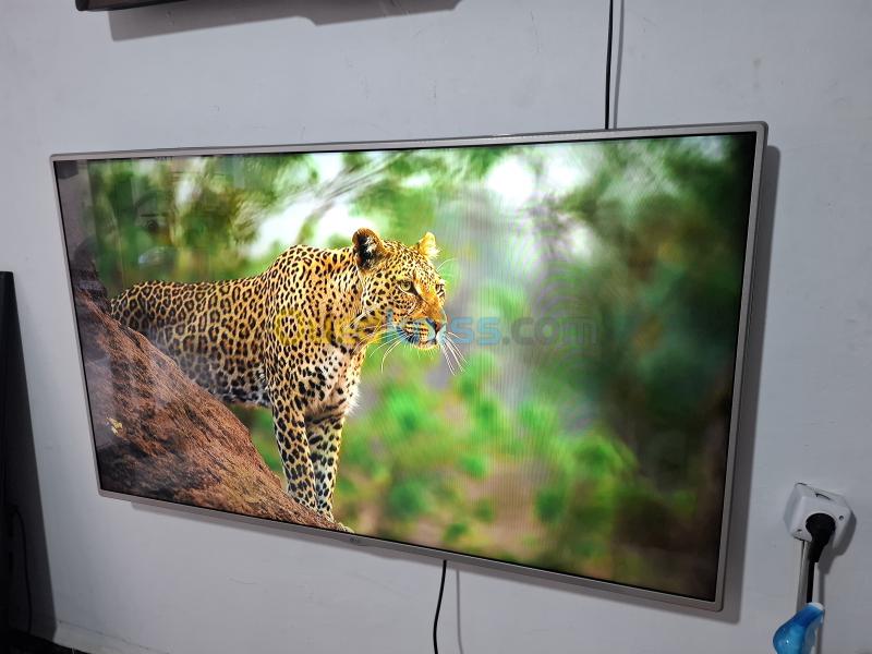 Tv lg 55 pouce sample 2