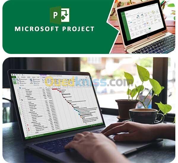 Microsoft Visio & Project  professional Bind 6