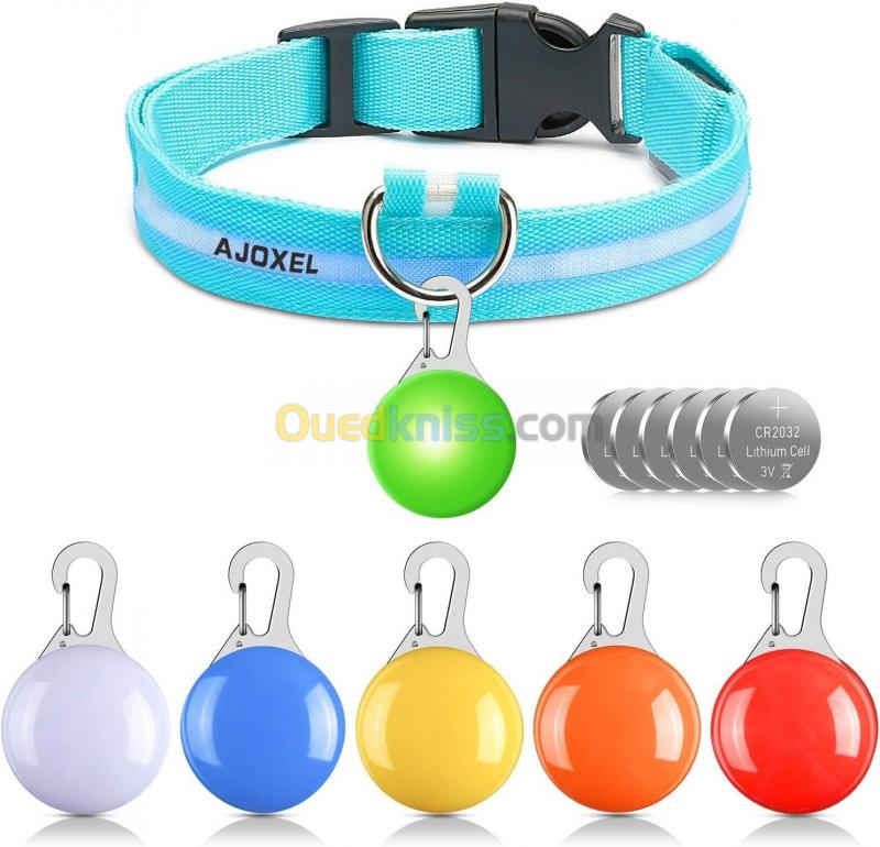  AJOXEL 6 pièces lampe clignotante LED de sécurité à clipser chiens, chats, porte-clés pendentif