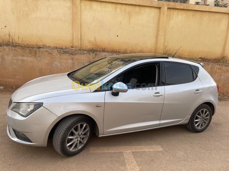 Seat Ibiza 2014 Crono 10