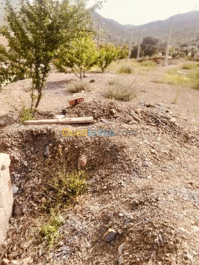 Vente Terrain Agricole Bouira Taghzout 2