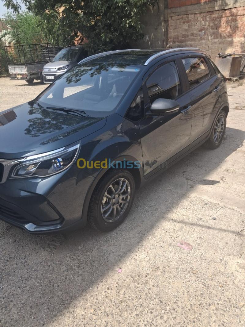 Livan X3 Pro  2026 Automatique (Avec toi ouvrant ) 2