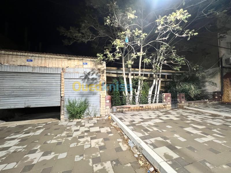 Vente Villa Djelfa Djelfa 11