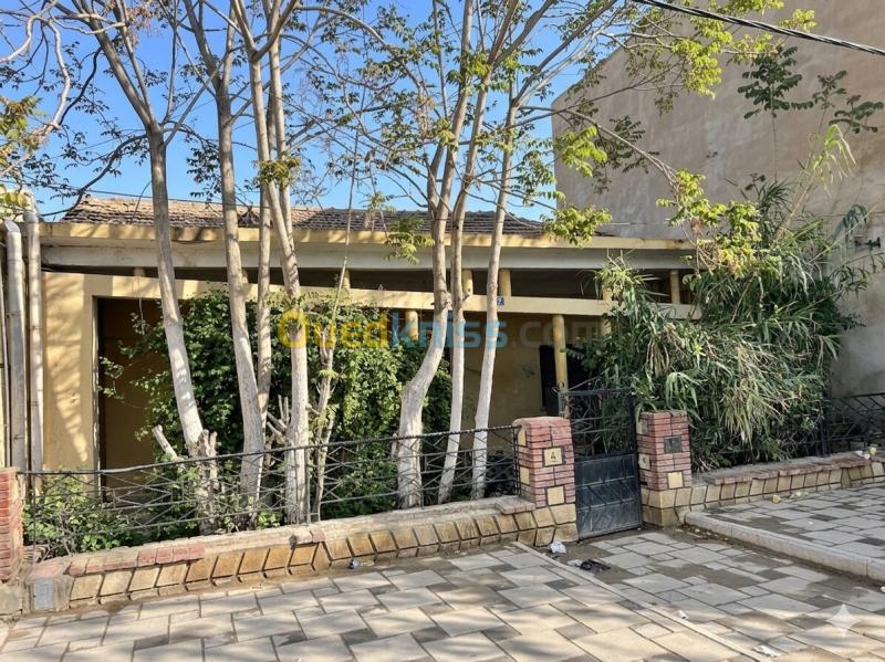 Vente Villa Djelfa Djelfa 4