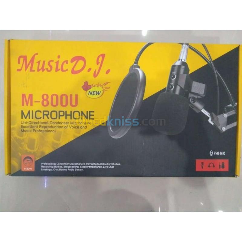 MICROPHONE PROFESSIONALE DJ 800U