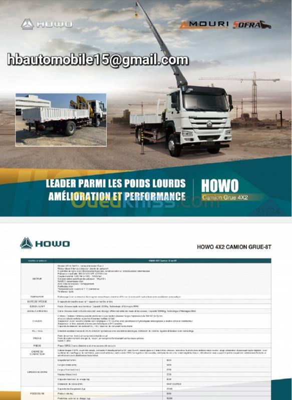  HOWO Camion grue 2024