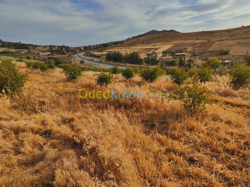 Sell Land Aïn Defla Ain defla Aïn Defla Algeria