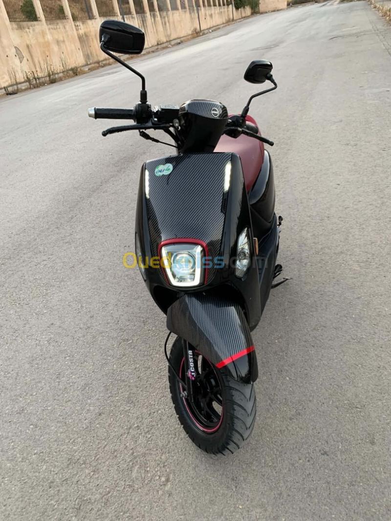 VMS Cuxi 2 2025
