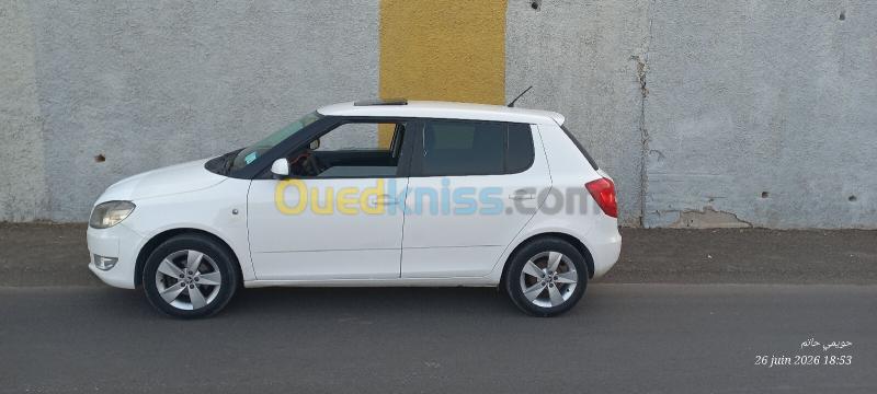 Skoda Fabia 2014  5