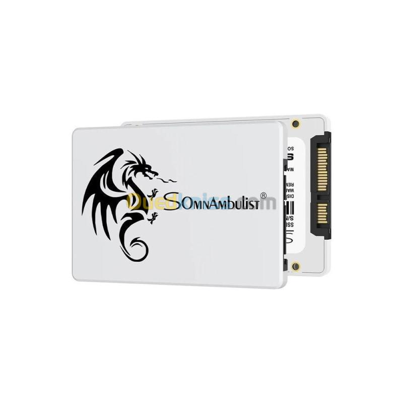 SSD Sata 120GB ''Somnambulist''