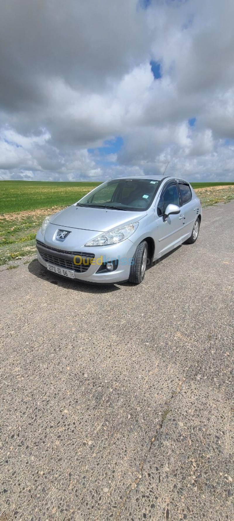 Peugeot 207 2011 Active