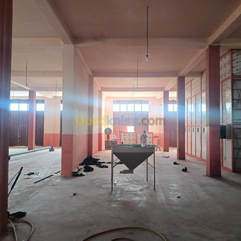 Location Hangar - Usine Sétif Ain oulmene 5