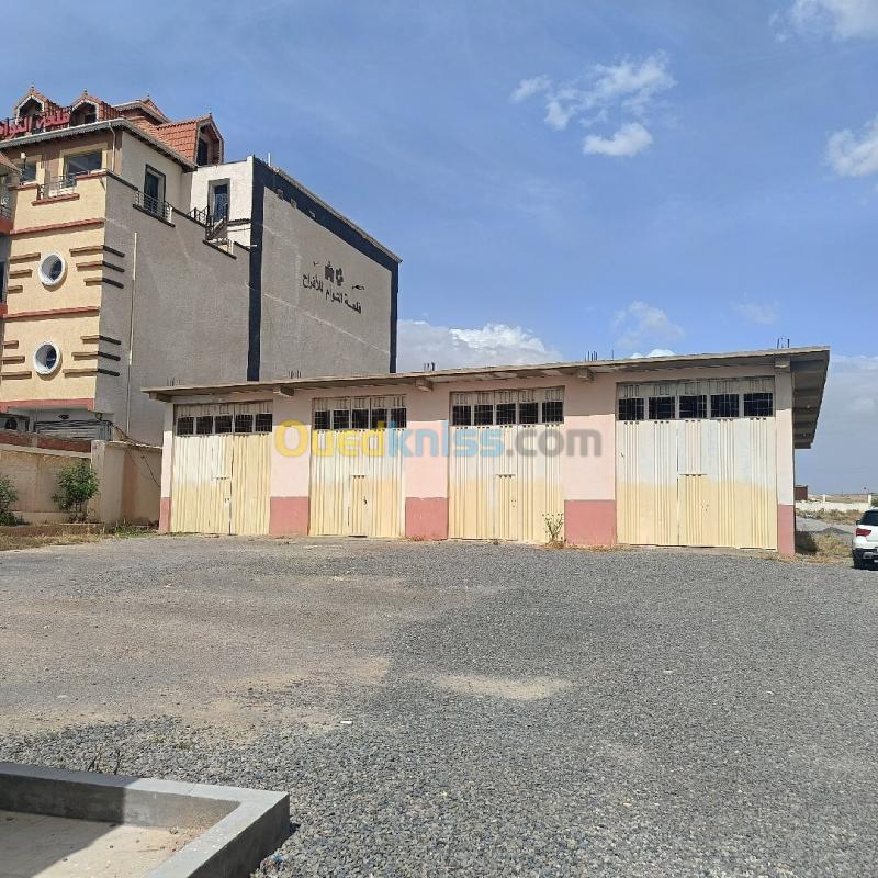 Location Hangar - Usine Sétif Ain oulmene