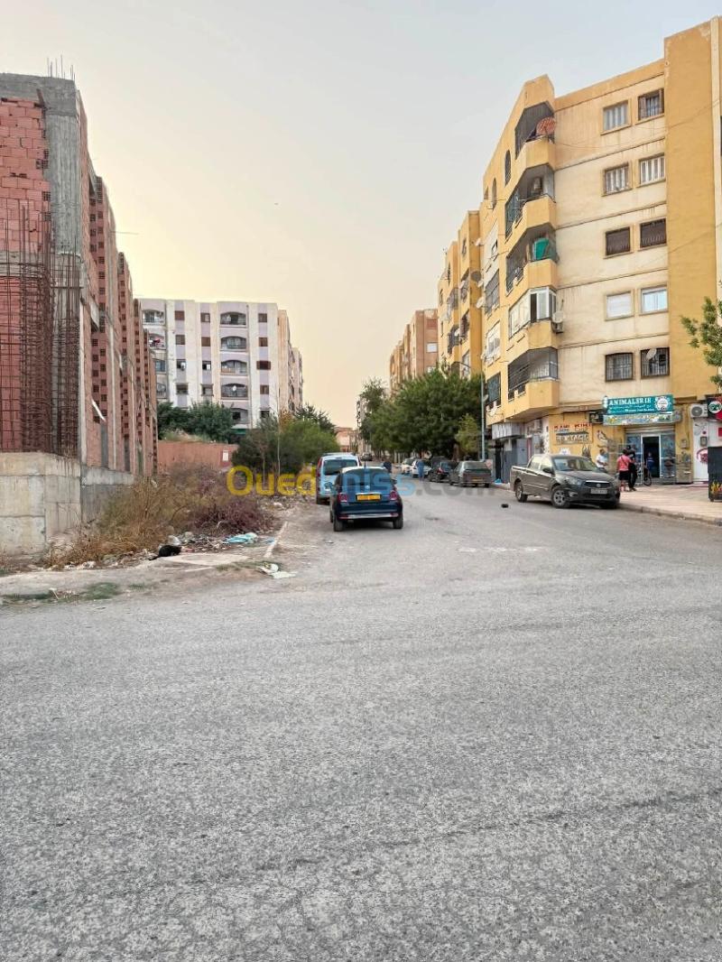 Location Local Sidi Bel Abbès Sidi bel abbes