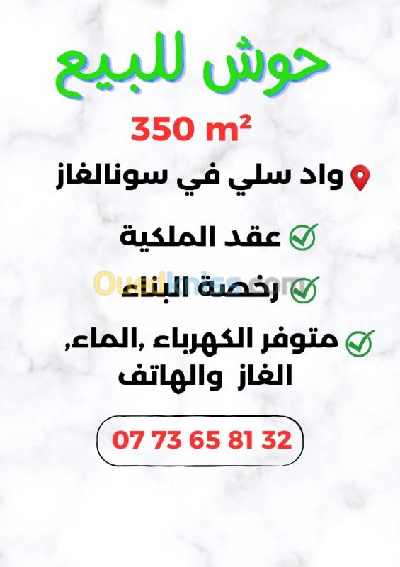  Vente Terrain Chlef Oued sly