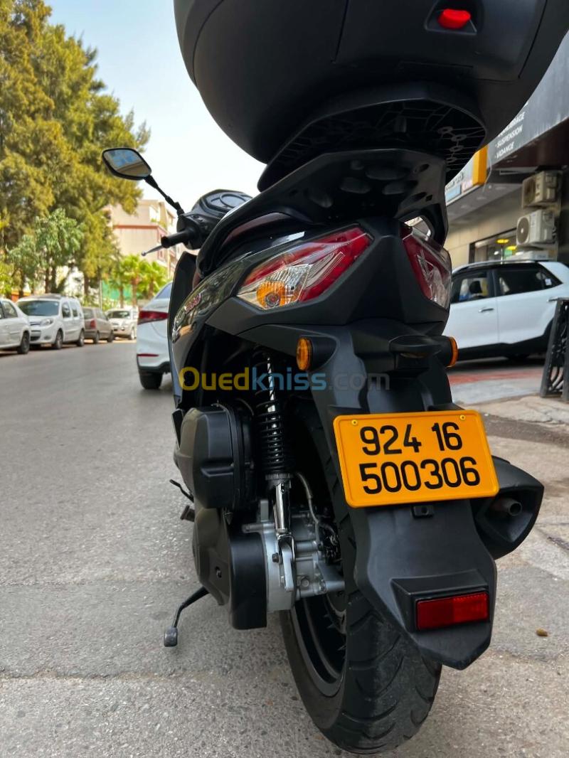 Sym Hd300 2024 6