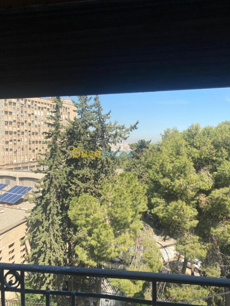 Vente Appartement F5 Alger Alger centre 21
