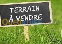 Vente Terrain Tizi Ouzou Tizi ouzou