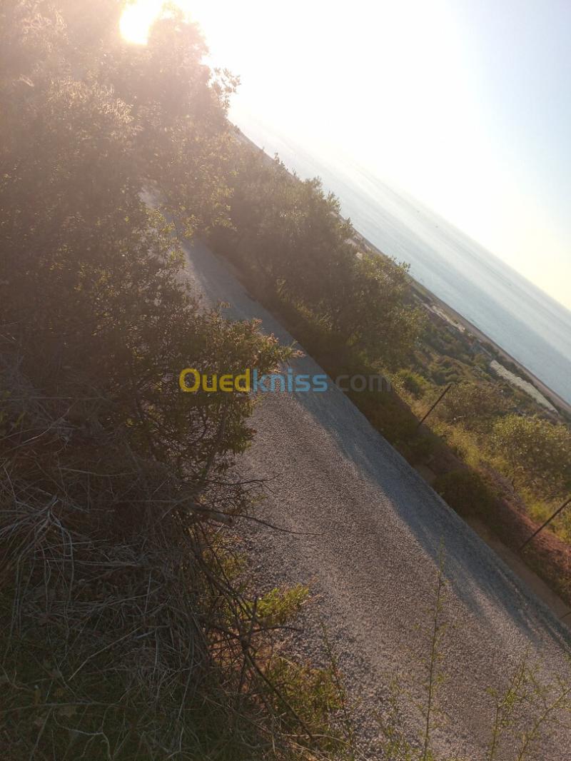 Vente Terrain Jijel El kennar nouchfi 3