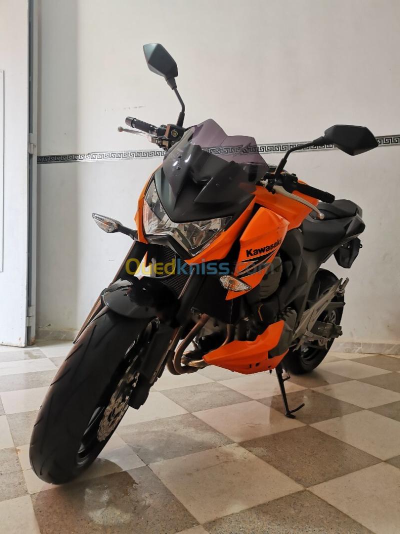 Kawazaki RZ800 2013 11