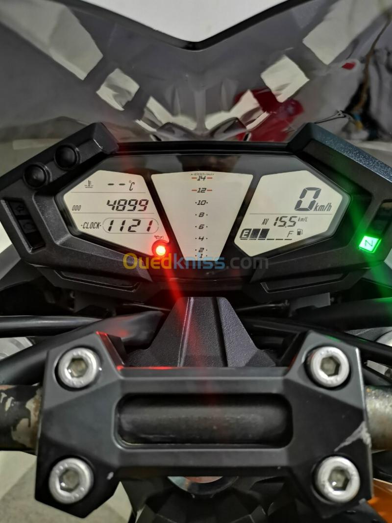Kawazaki RZ800 2013 6
