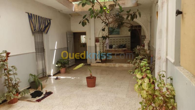 Vente Terrain Tlemcen Tlemcen