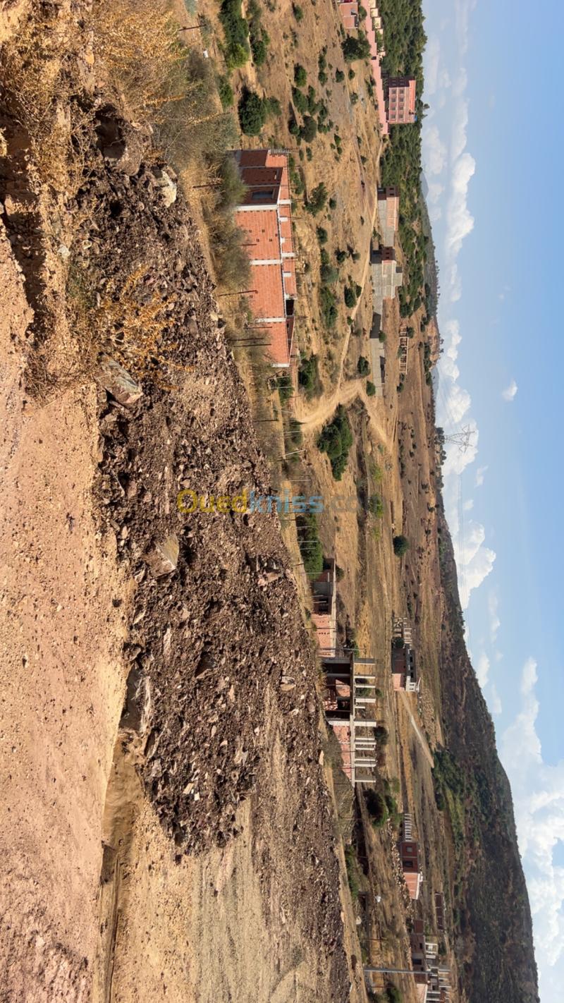 Vente Terrain Blida Bouinan 4
