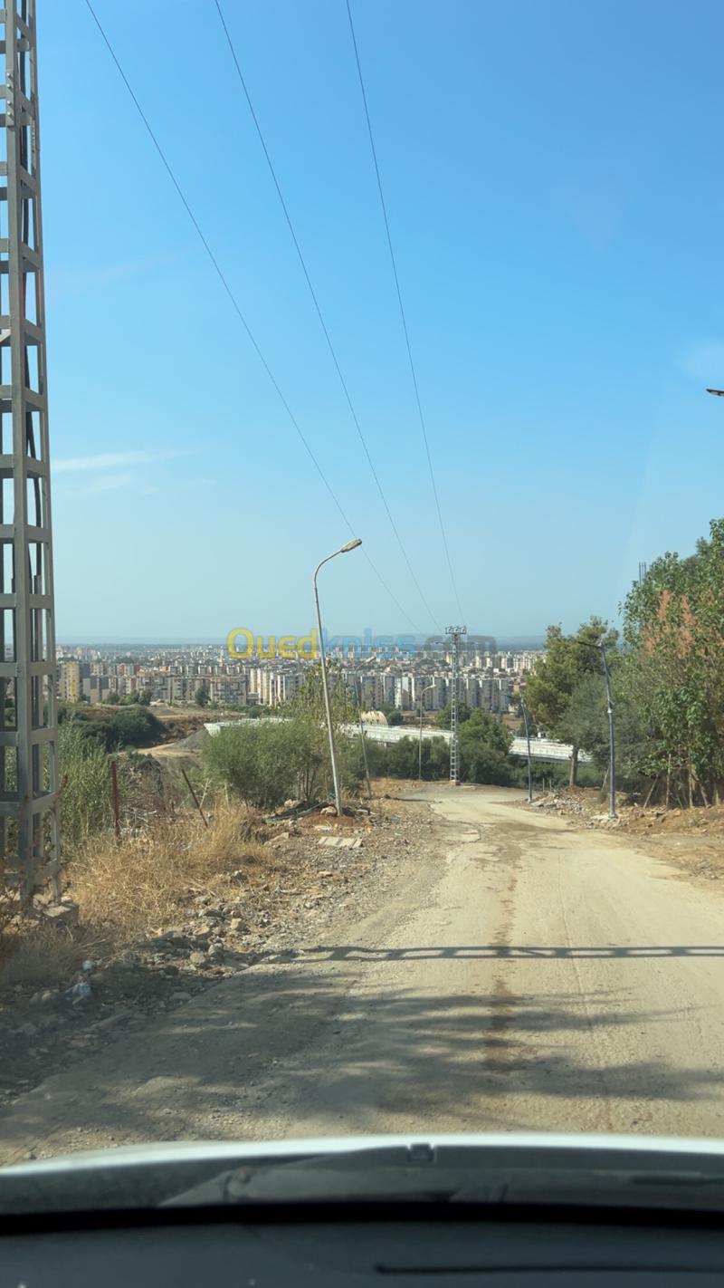 Vente Terrain Blida Bouinan 3