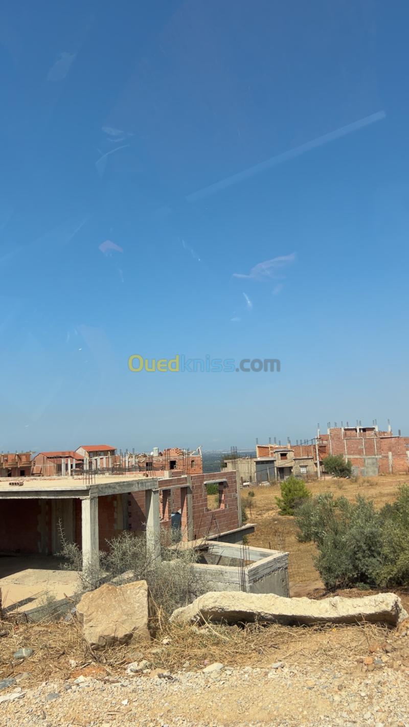 Vente Terrain Blida Bouinan 6