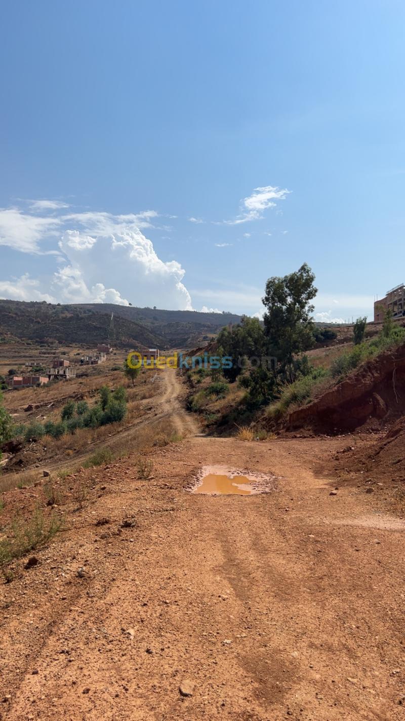 Vente Terrain Blida Bouinan 5