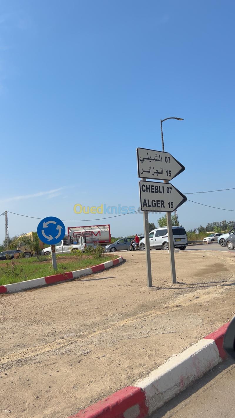 Vente Terrain Blida Bouinan