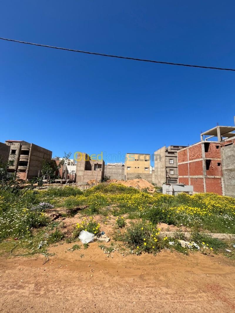 Vente Terrain Mostaganem Mostaganem 2