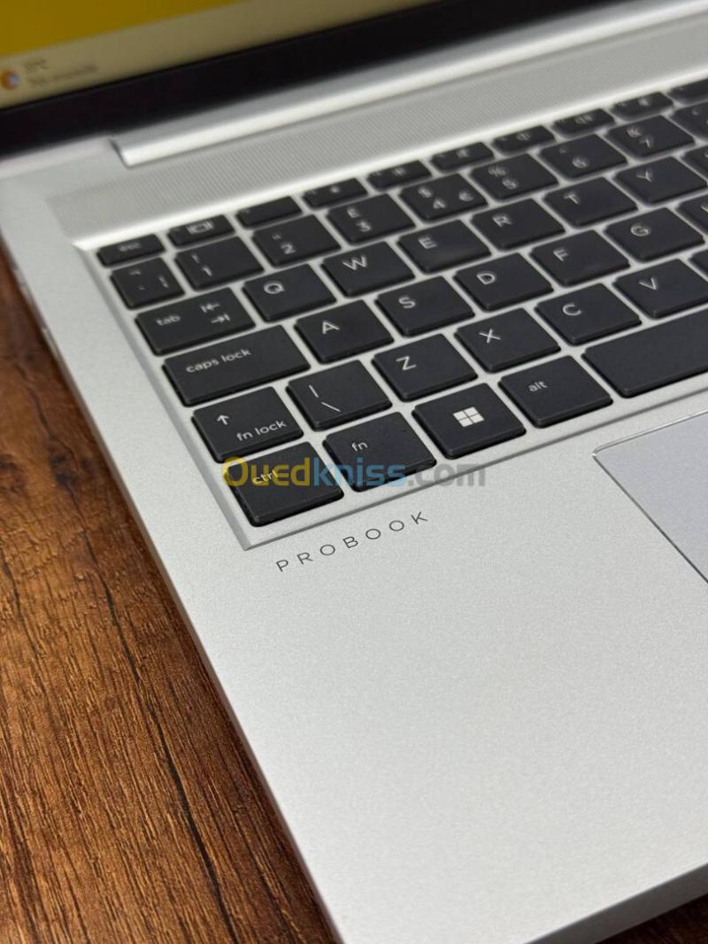 HP ProBook 450 G10  i5-1334U  16 Go DDR4  256 Go SSD 6