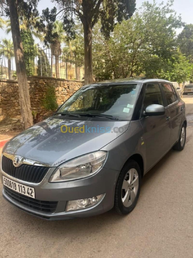 Skoda Fabia 2013 Fresh 4