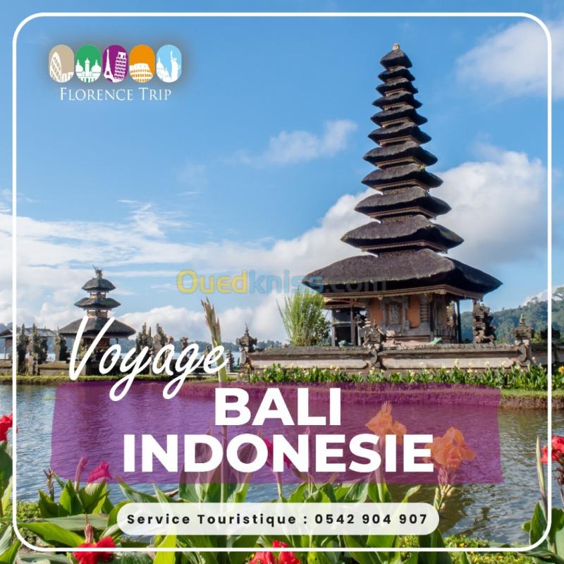  VOYAGE DE LUXE A BALI INDONESIE + VISA DISPONIBLE رحلة سياحية بالي اندونيسيا