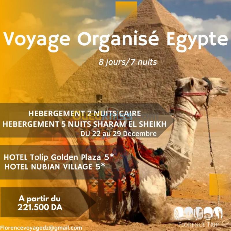  Voyage fin d'annee Combine Caire Sharm el Sheikh