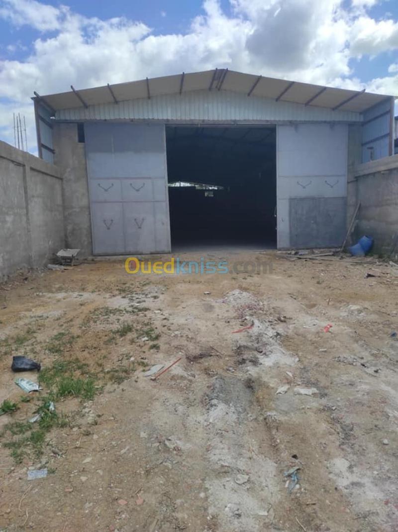 Location Hangar - Usine Alger Birtouta