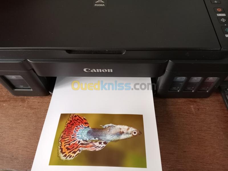  Imprimante Canon mg 2411 multifonction scaner et impression 