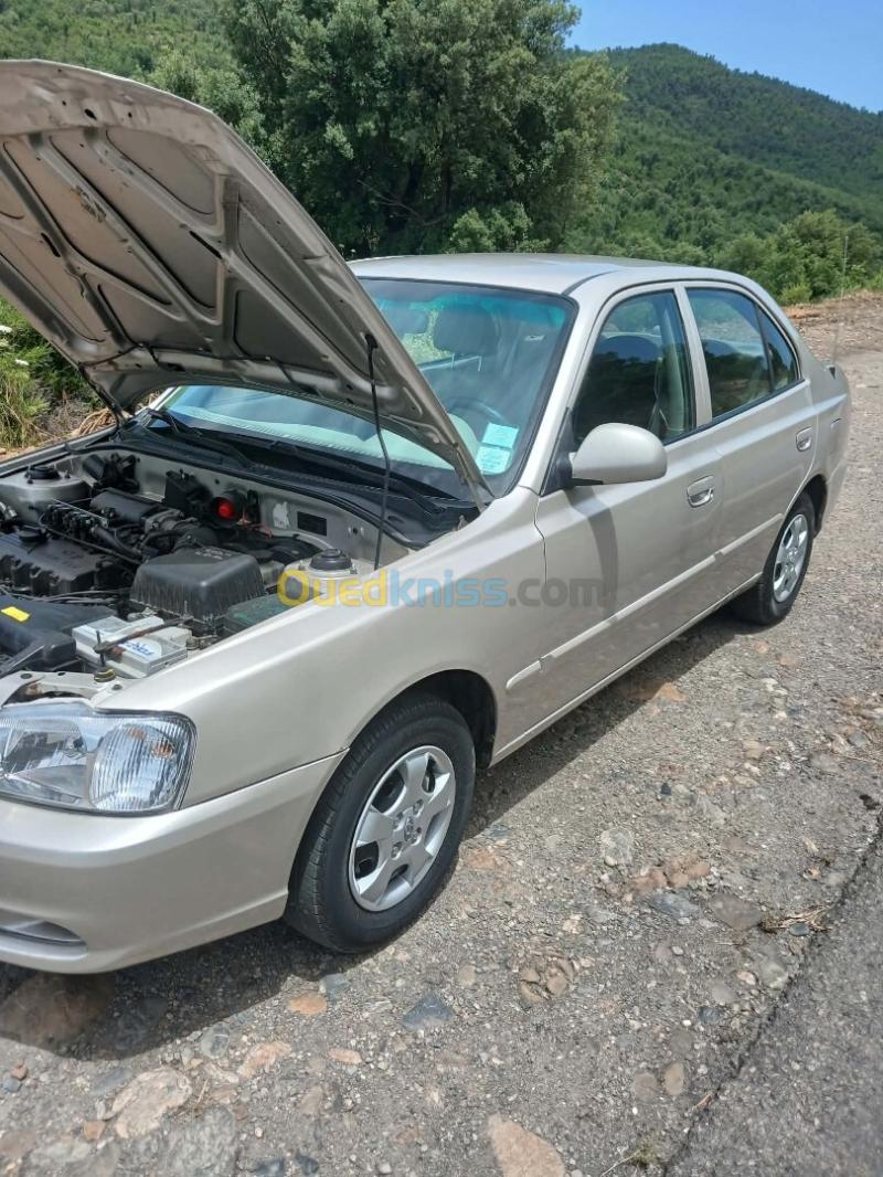 Hyundai Accent 2010 Gls 8