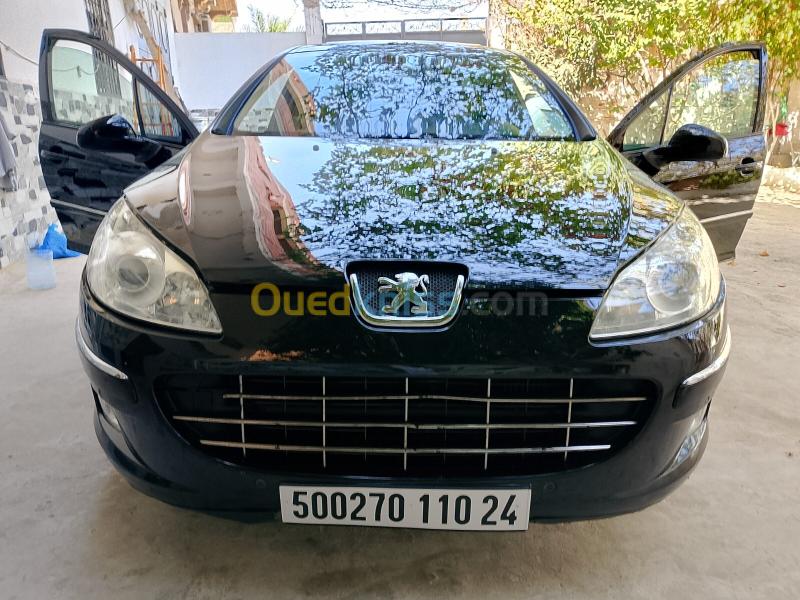 Peugeot 407 2010 407 5